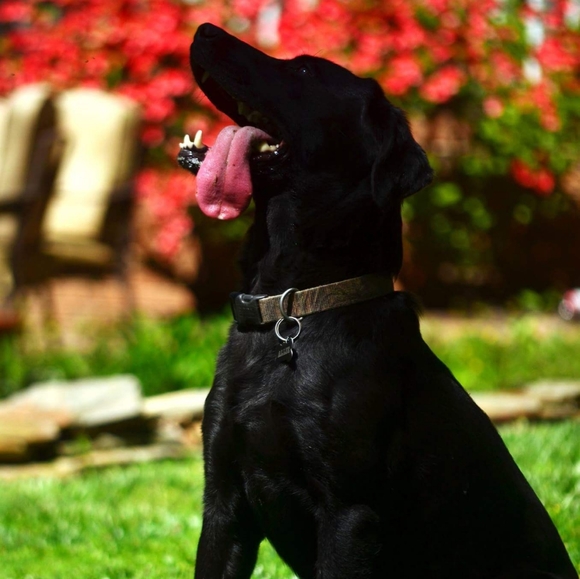 Meet your Posher, Keshia - Picture 7 of 12